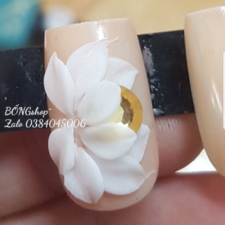 Hoa bột nail trang trí móng tay