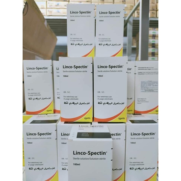 LINCO-SPECTIN 10ML - Dùng cho gà khò khè, sổ mũi, phân xanh, phân trắng - Chính hãng Zoetis (Mỹ)