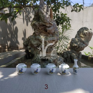 Cóng chim vành khuyên đẹp