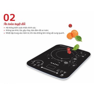 Bếp Từ SATO STB-203