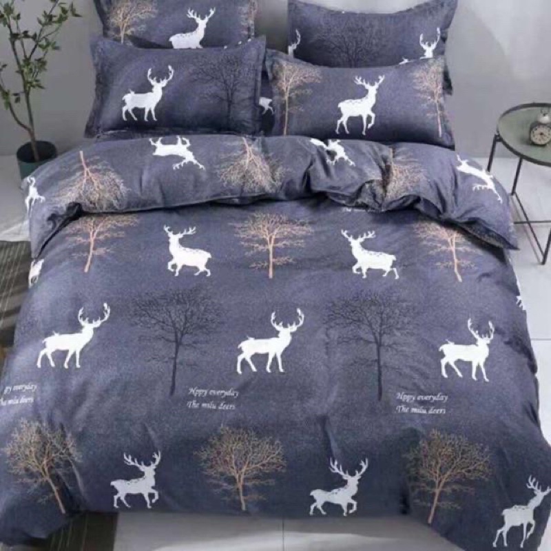 Bộ Vỏ Chăn Ga Gối 5 mon Coton poly mat min Bo Decor