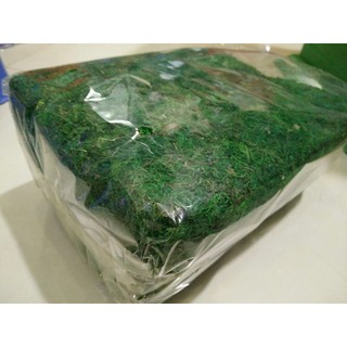 RÊU PHỦ TRANG TRÍ GỐC CÂY hàng trung( BỊCH NHỎ)