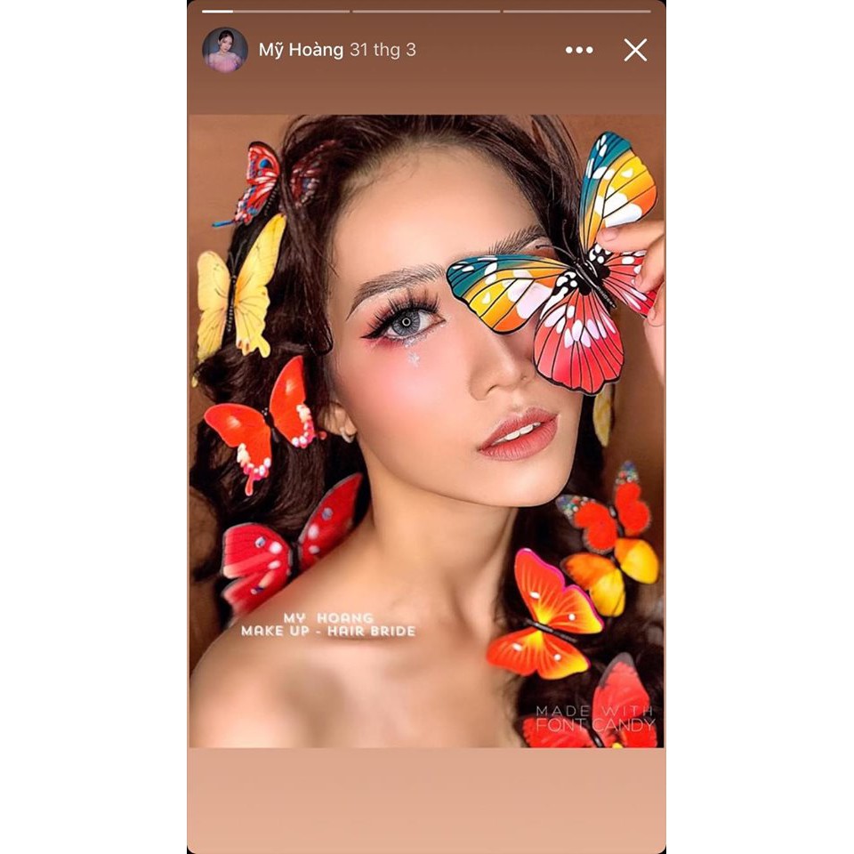 Set 12 Con Bướm Tạo Hình 3D - Trang Trí Tường - Đính Nam Châm - Dán Trên Mọi Chất Liệu