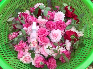 Nước hoa hồng handmade (toner)