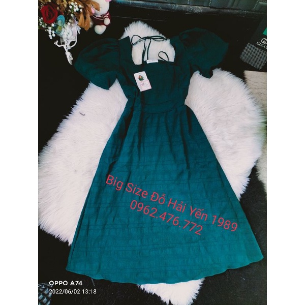 Đầm Big Size