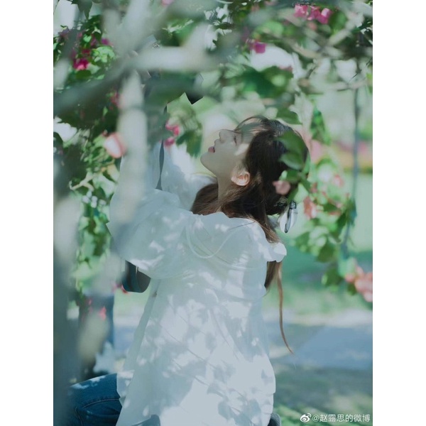 Đầm babydoll xoè Triệu Lộ Tư