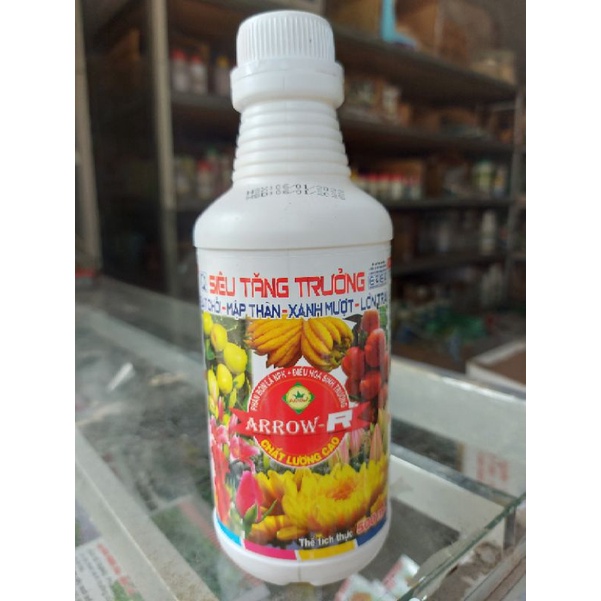 TĂNG TRƯỞNG ARROW ( chai to ) LỚN TRÁI BẬT MẦM TO QUẢ ĐẸP TRÁI