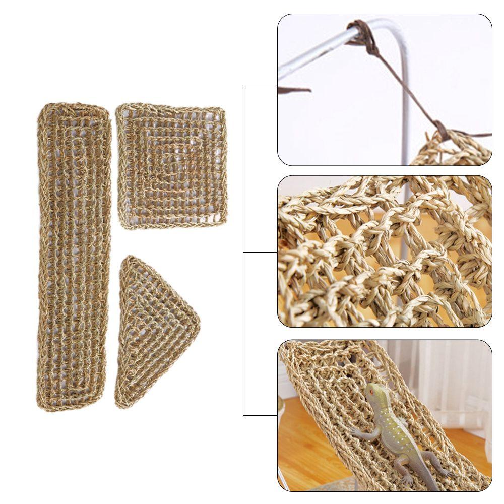 Võng Dệt Tự Nhiên Cho Thằn Lằn