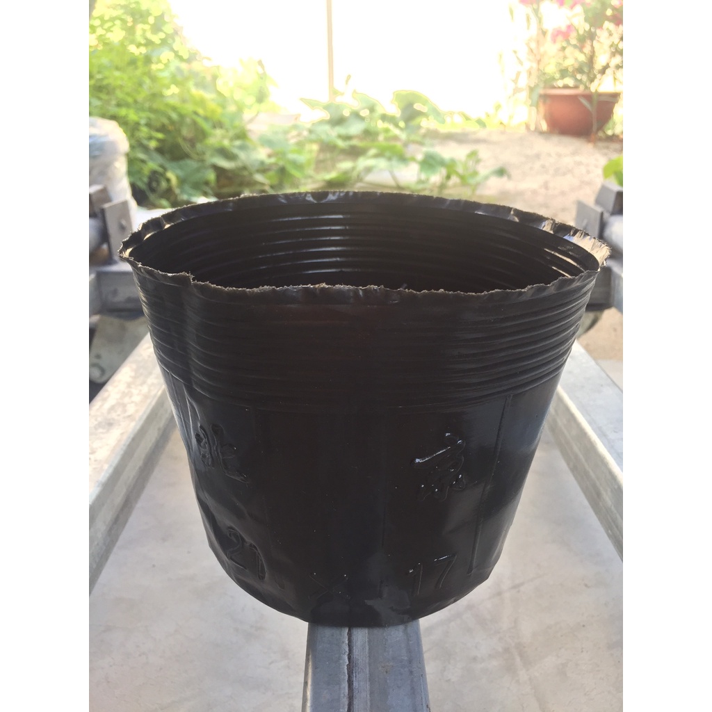 BẦU ƯƠM CÂY 21*17 ( DỊCH TRUYỀN CHO CÂY, KÍCH RỄ , MẦM CÂY XANH LÁ, LƯỚI CHE NẮNG...)