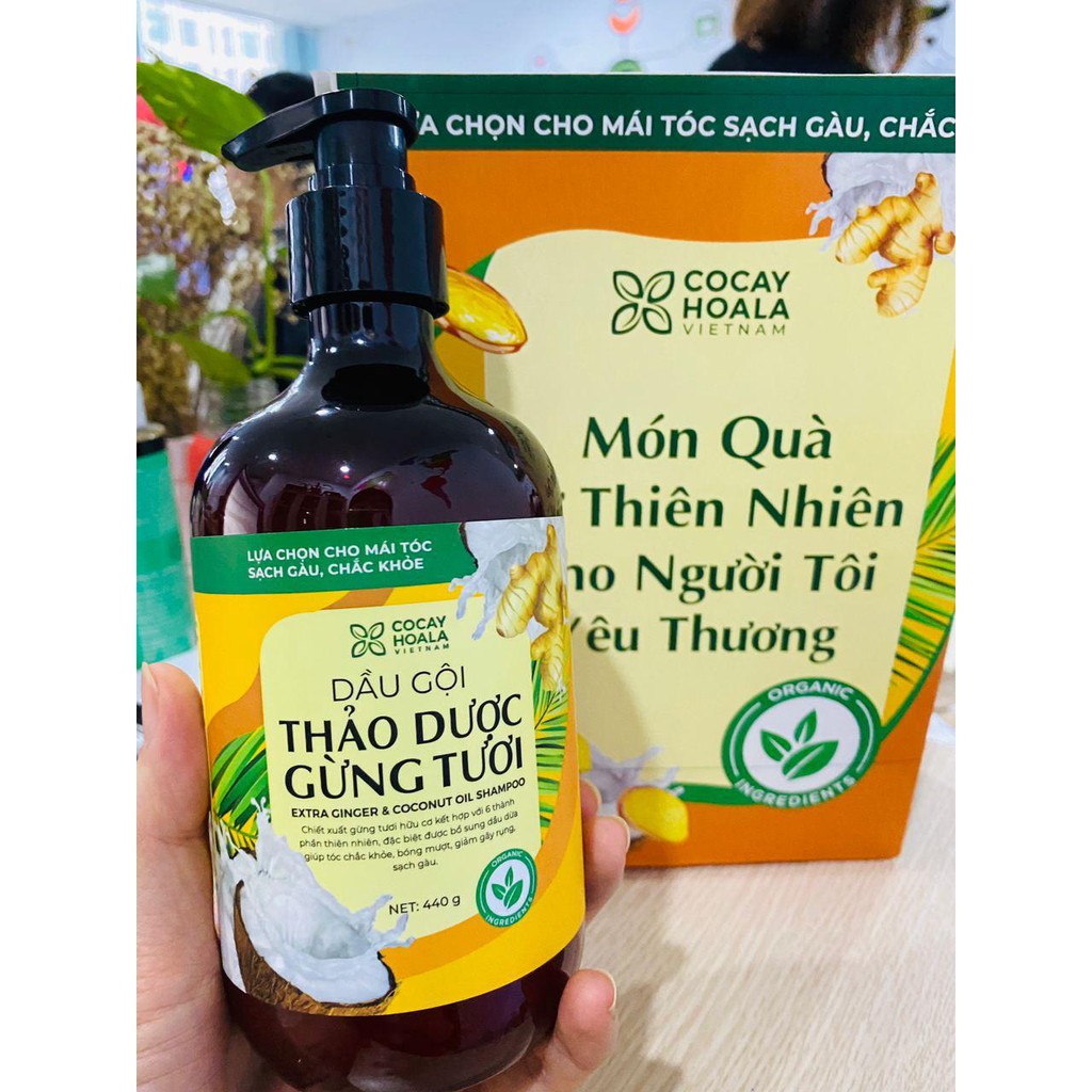 Dầu gội thảo dược gừng dừa hữu cơ Cocayhoala dành cho mẹ bầu thiên nhiên an toàn lành tính dung tích 440g/chai