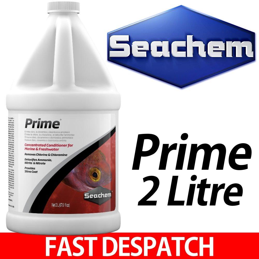 SEACHEM - PRIME | Khử Clo, NH3, NO2, NO3 cho nước hồ cá thủy sinh, hồ cá biển (Chính Hãng)