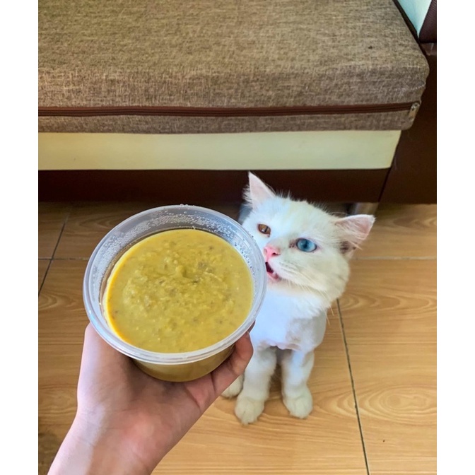 Pate tươi dinh dưỡng cho thú cưng Việt