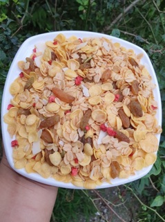 Ngũ cốc trái cây sấy - 500g