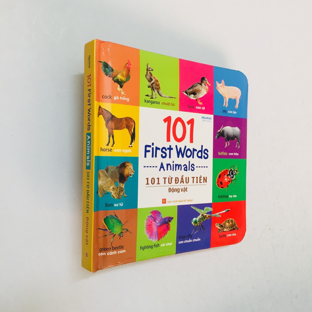 Sách – 101 First Words - 101 Từ Đầu Tiên – Giao Thông – Bảng Chữ Cái – Chữ Số Hình Dạng Màu Sắc – Động Vật – Thực Vật