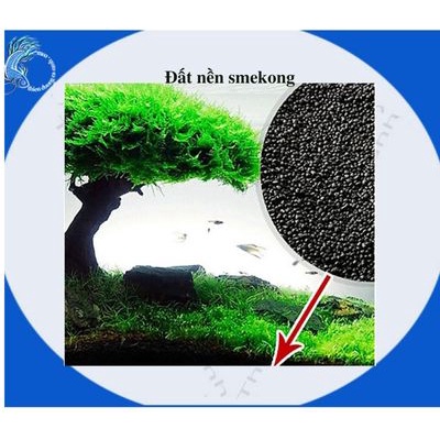 Phân nền trồng cây thủy sinh smekong bịch 2 kí- đất nền trông cây thủy sinh - phân nền s mê kong