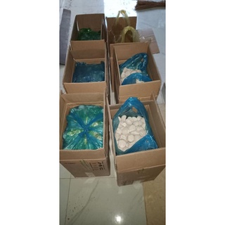 Men Ủ Rượu Cây Lá Men