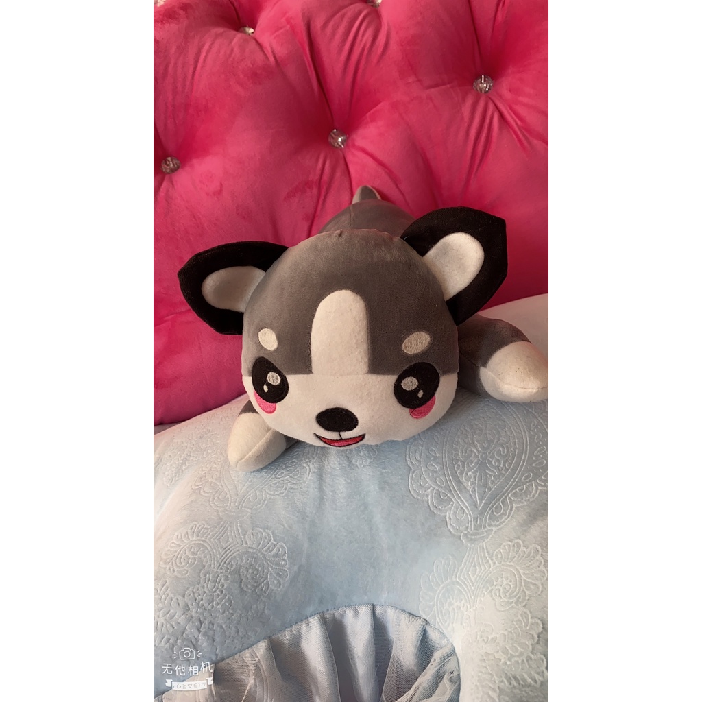 Gấu Bông Full Mẫu Siêu Dễ Thương