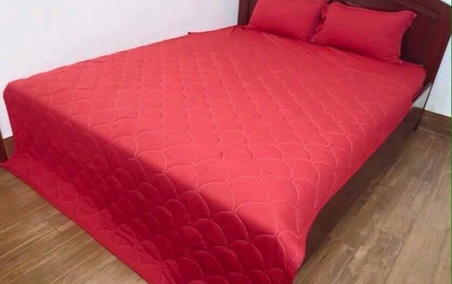 Trọn bộ ( 2 áo gối+1 áo ôm+ drap khổ 1m6x2m) thun Hàn Quốc | BigBuy360 - bigbuy360.vn