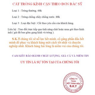 Kính cận đẹp C1