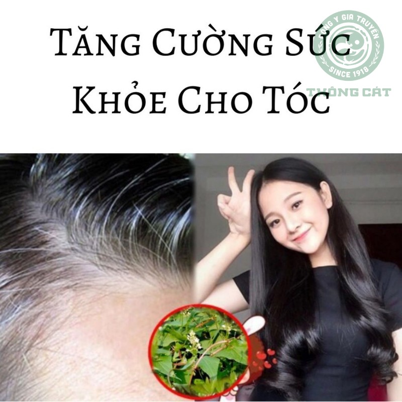 Thuốc mọc tóc Đông y gia truyền Thông Cát hiệu quả đến bất ngờ-mọc tóc nhanh chỉ sau vài lần sử dụng