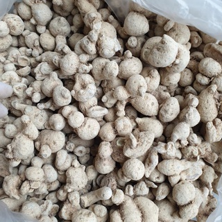 Tam thất nam khô 1kg