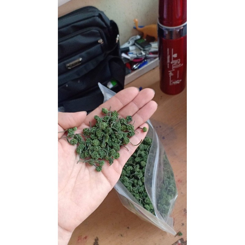 500g nụ tam thất bao tử xanh đẹp- nụ nhỏ thơm ngon hàng mới