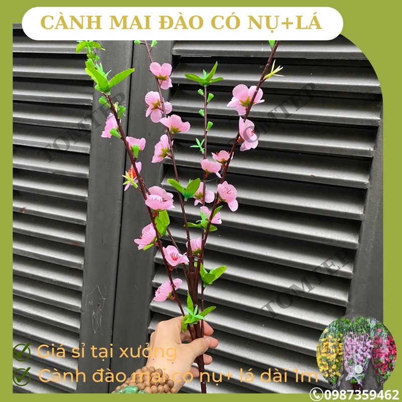 Giá xưởng combo 10 cành hoa đào, hoa mai có nụ và lá