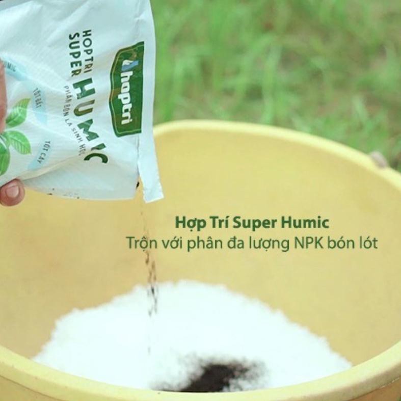 Humic hợp trí - phân bón super humic hợp trí  dạng bột