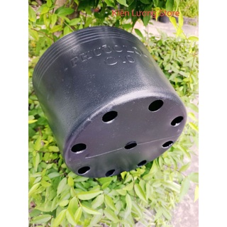 Chậu nhựa đen C10
