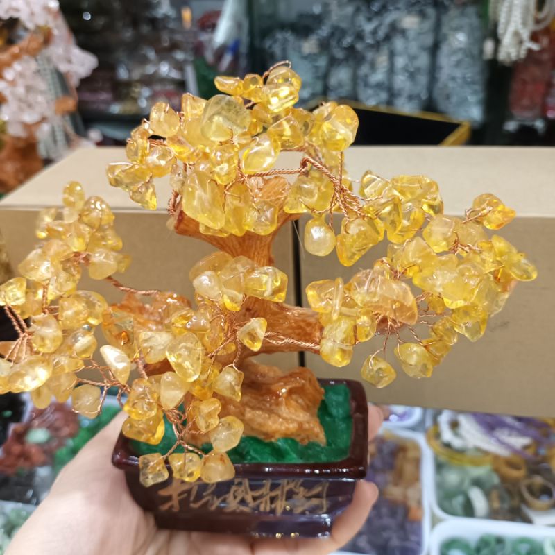 Cây đá màu vàng hút tài lộc, cây tài lộc để bàn thờ Thần tài, quầy thu ngân, két sắt, bàn làm việc, sưu tầm