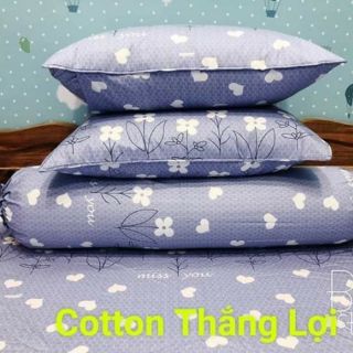 Drap cotton Thắng Lợi