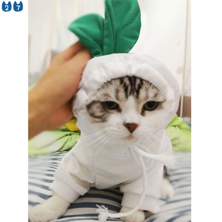 Áo Sweater Có Mũ Trùm Nhồi Bông Thời Trang Thu Đông 27 Pets