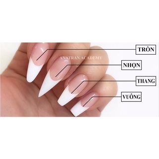 [NAILBOX] Mẫu Basic Màu Trơn Bóng, Lì - Thiết kế theo form móng