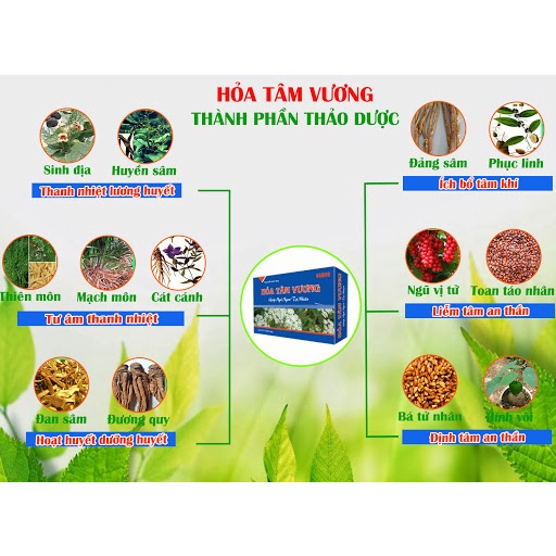 Hỏa Tâm Vương - Giúp tư âm dưỡng huyết, bổ tâm, an thần, hỗ trợ giấc ngủ sâu giấc (20 viên)