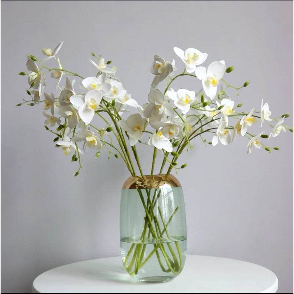 HOA GIẢ 🌺HOA LAN THÁI CAO SU