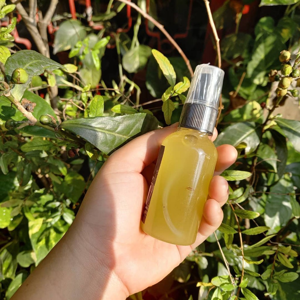 [ 🎓XỊT THÔNG THÁI🎓] | BigBuy360 - bigbuy360.vn