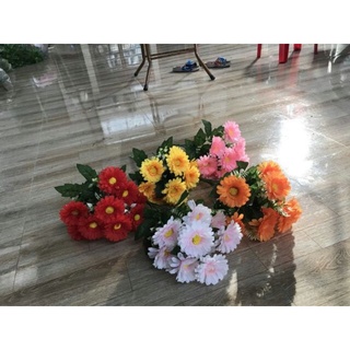 hoa giả - cúc vạn thọ