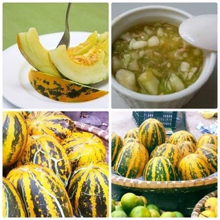 Hạt giống Dưa Bở 20 Hạt