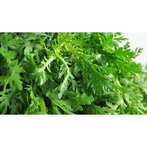 Hạt giống rau tần ô, cải cúc