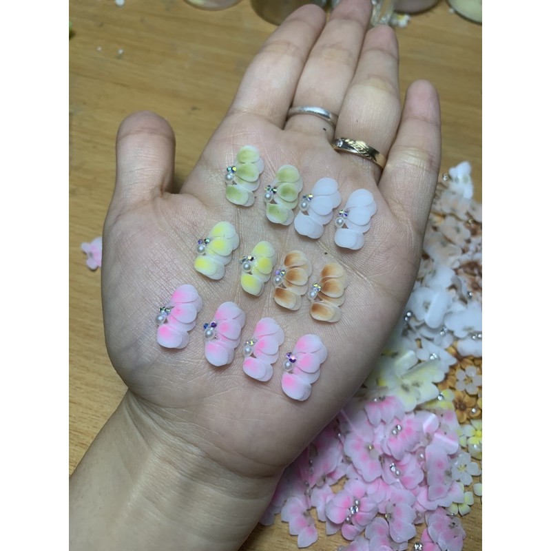 hoa bột nails cúc Ruby