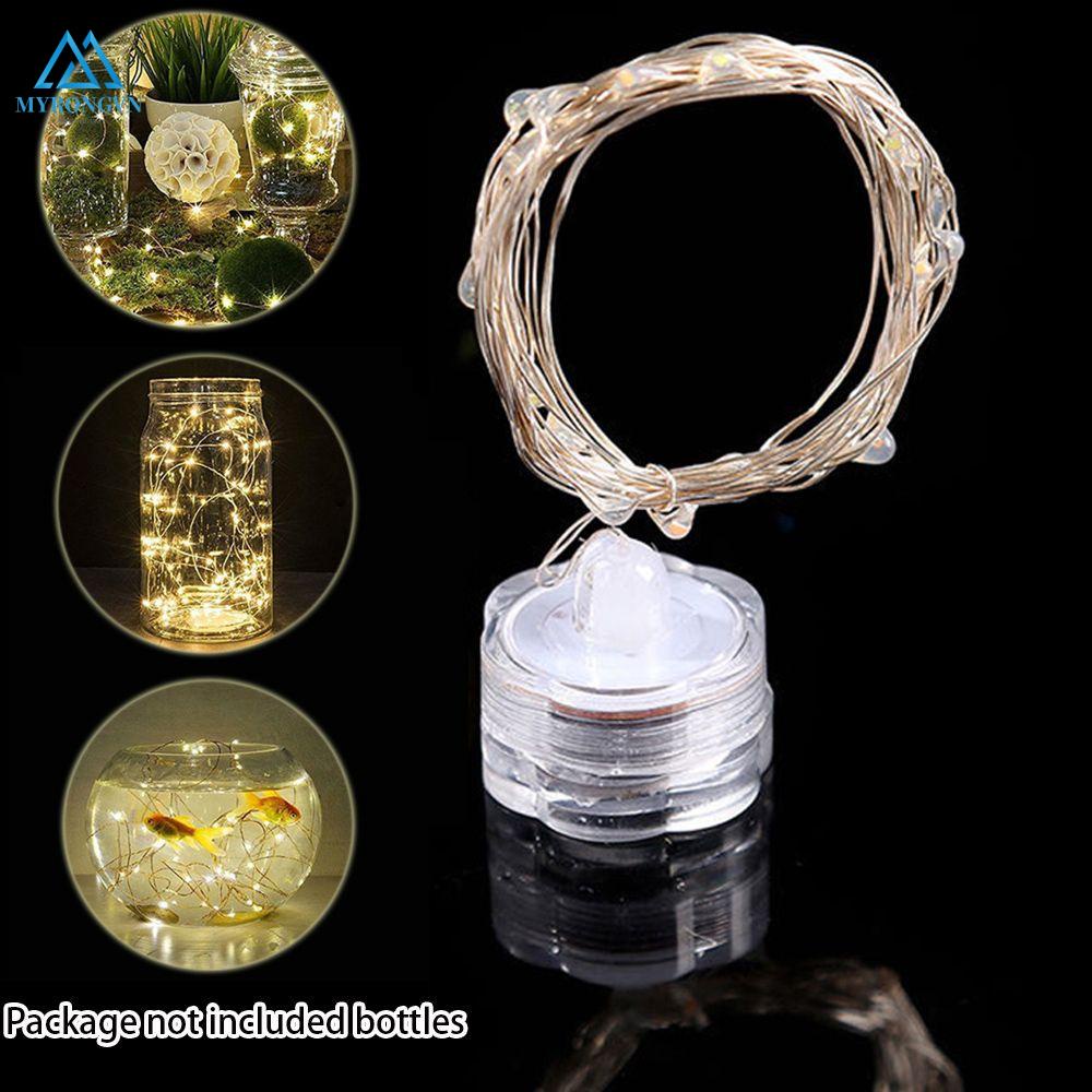 Dây Đèn Đom Đóm Dài 1m/2m Trang Trí Đẹp Mắt