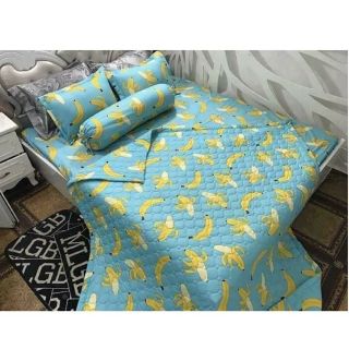 Bộ drap cotton poly hàn quốc (4 món) 1m2x2m