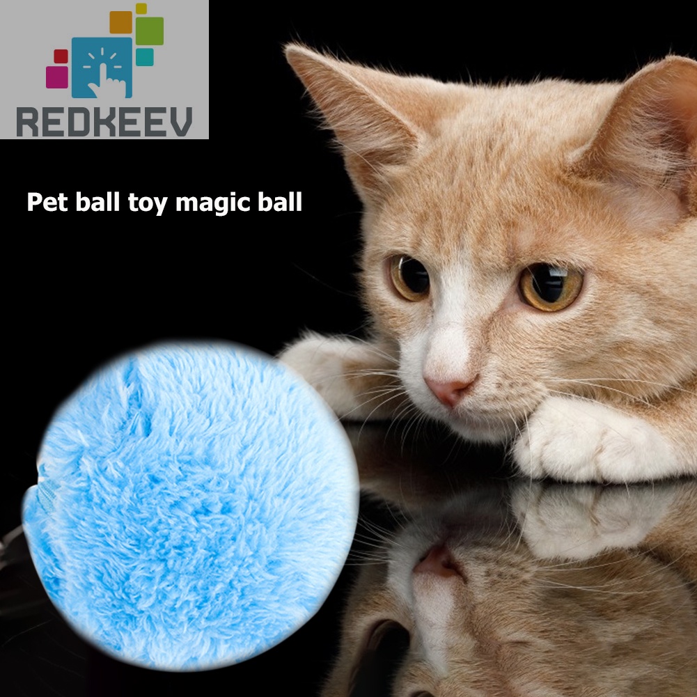 Set 5 quả bóng lăn tự động đồ chơi cho thú cưng