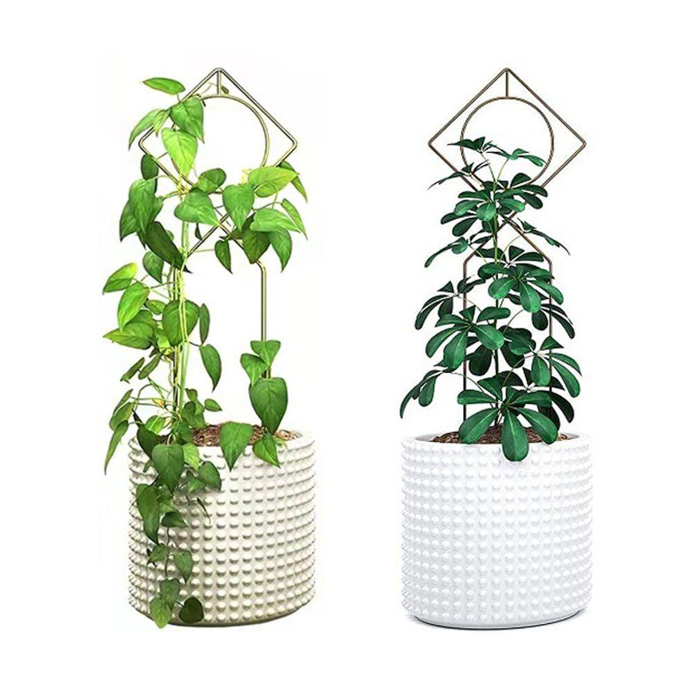 KUNHEV Giá Đỡ Cây Leo Dùng Trang Trí Sân Vườn Tiện Dụng