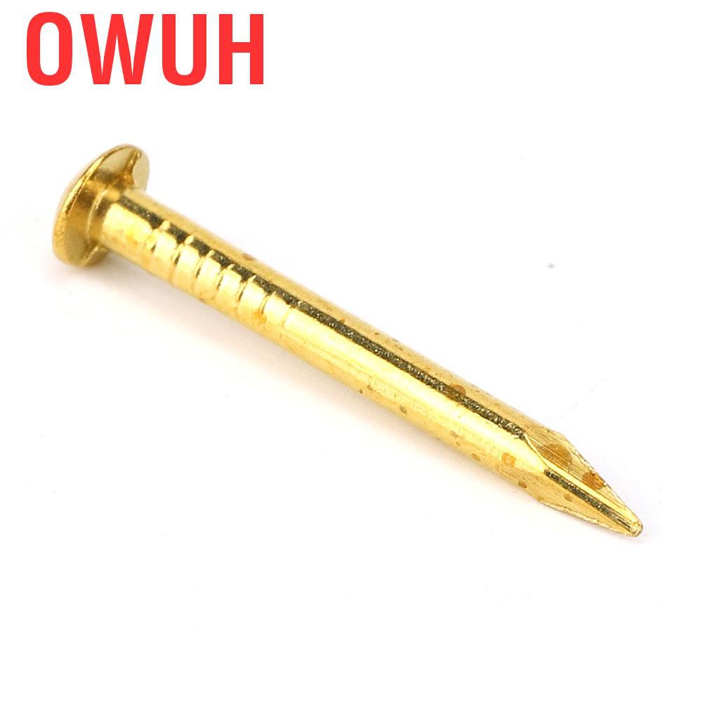 Bộ 100 đinh đầu tròn 10mm / 15mm 18mm 22mm bằng đồng thau cho bản lề nội thất