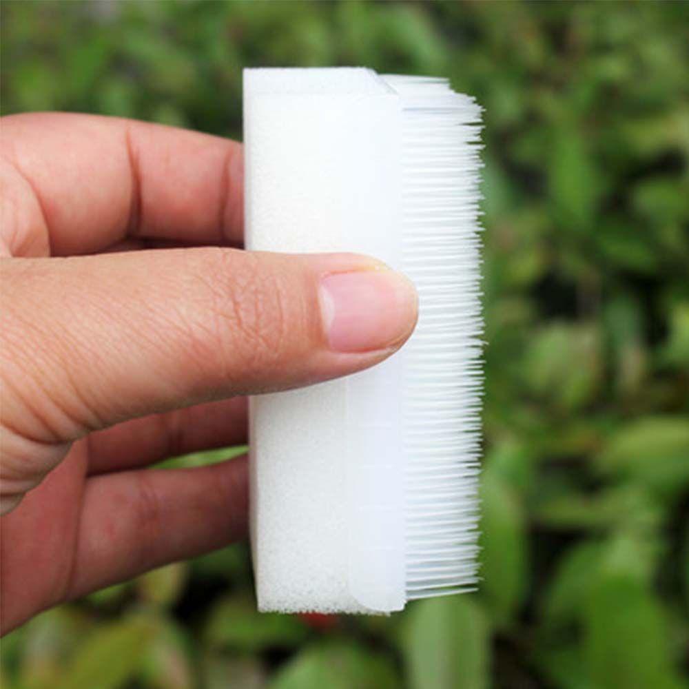 Bàn Chải Nhựa Màu Trơn Dùng Vệ Sinh Nhà Tắm Cho Bé Tiện Dụng