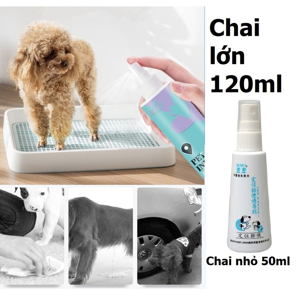 Xịt hướng dẫn vệ sinh đúng chỗ BoBo loại thế hệ mới - Xịt Bobo giúp chó mèo vệ sinh đúng chỗ - Đảo Chó Mèo