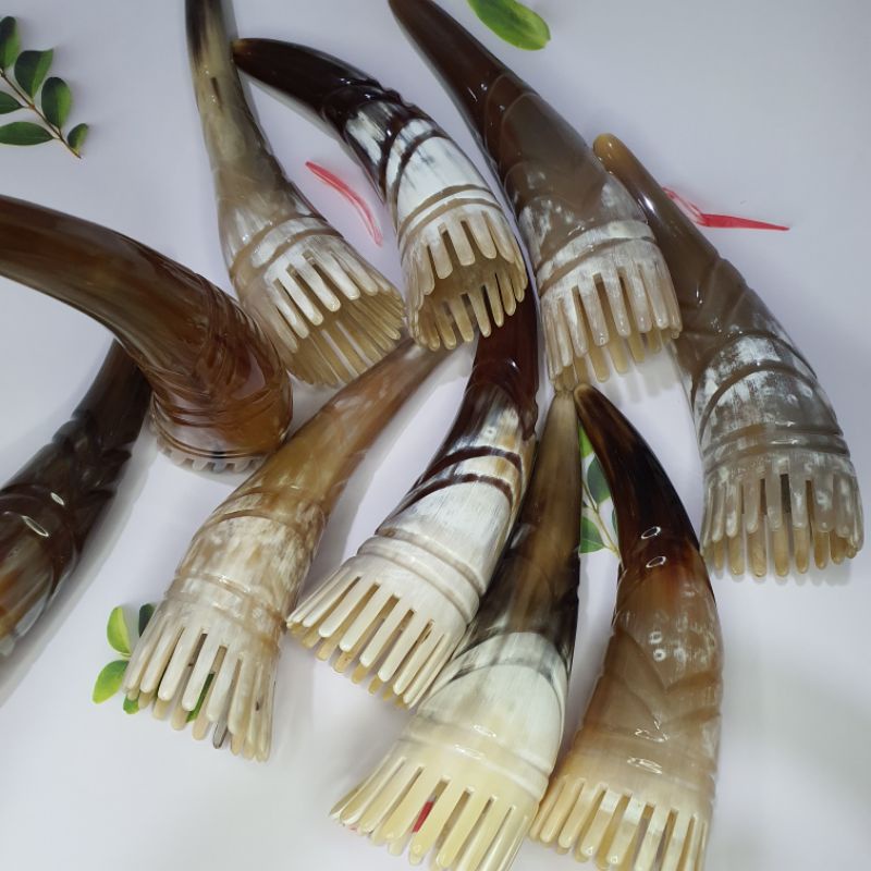 dụng cụ massage đầu bằng sừng