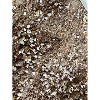 500g Đá bọt Pumice Indo