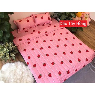 Sét 5 Món Ga Gối Cotton Poly Hello Kitty